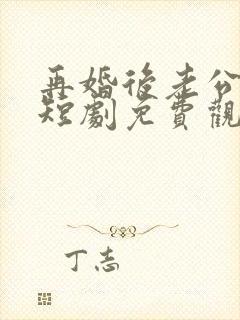 再婚后老公和我短剧免费观看