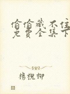 偷偷藏不住漫画免费全集下拉式漫画