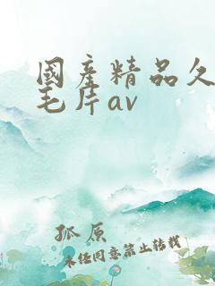 国产精品久久久毛片av