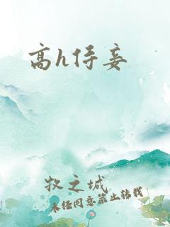 高h侍妾