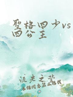 圣格四少vs 四公主