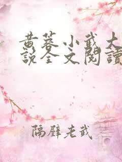 黄蓉小武大武小说全文阅读