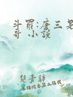 斗罗:唐三是我哥 小说 斗罗:唐三是我哥 小说
