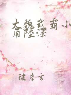 大魏武霸小说主角陆泽