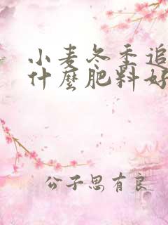 小麦冬季追肥用什么肥料好