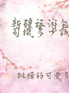 新疆旅游包车带司机多少钱一天