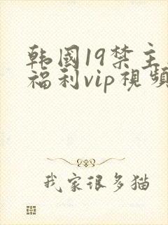 韩国19禁主播福利vip视频