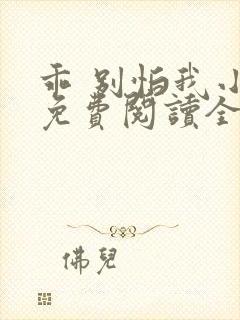 乖 别怕我小说免费阅读全文