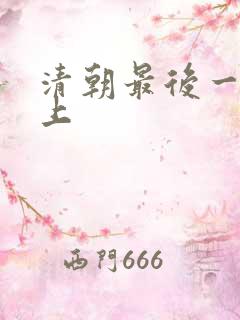 清朝最后一任皇上