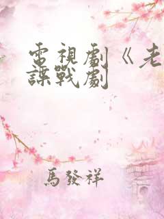 电视剧《老七》谍战剧