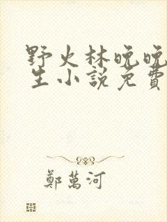 野火林晚晚林潮生小说免费读