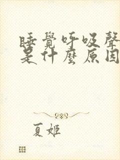 睡觉呼吸声很重是什么原因