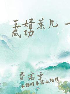王婿叶凡 一起成功