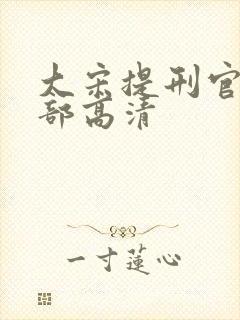 大宋提刑官第二部高清