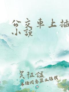 公交车上插处女小说