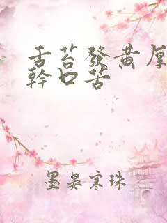 舌苔发黄厚腻口干口苦