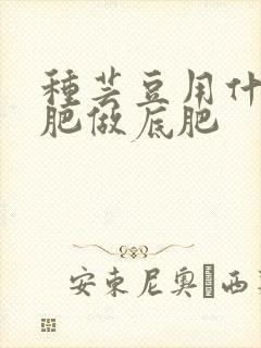 种芸豆用什么化肥做底肥