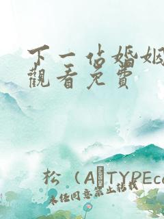 下一站婚姻全集观看免费