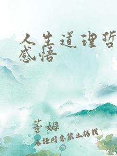 人生道理哲理及感悟