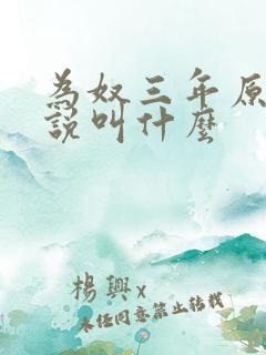 为奴三年原著小说叫什么