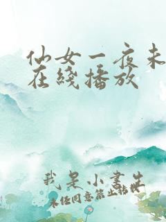 仙女一夜未删减在线播放