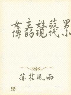 女主姓苏男主姓傅的现代小说总裁