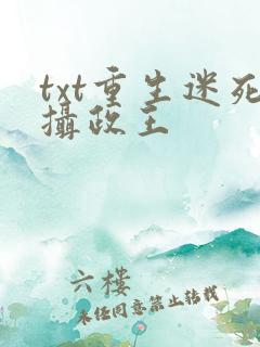txt重生迷死摄政王