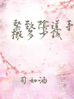 紧致阴道手术大概多少钱