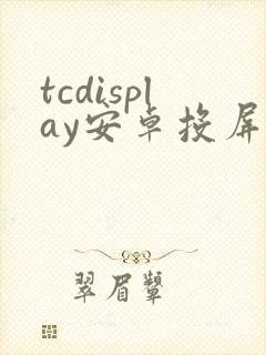 tcdisplay安卓投屏大师