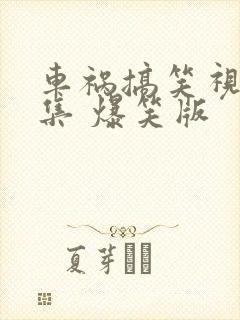 车祸搞笑视频合集 爆笑版