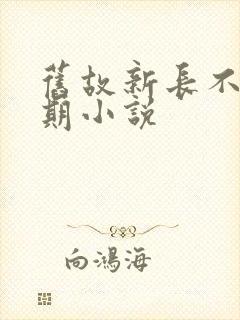 旧故新长不问归期小说