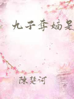 九子夺嫡是谁