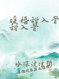 暖婚甜入骨暖婚甜入骨