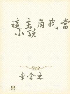 这主角我当不了 小说
