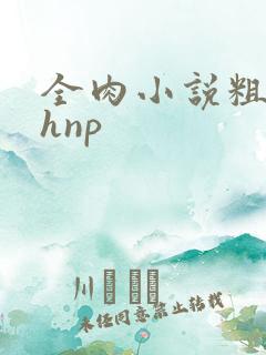 全肉小说粗暴高hnp