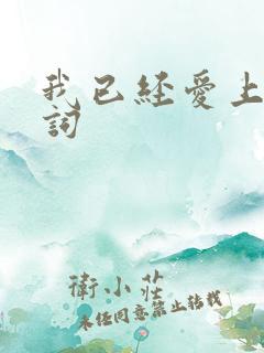 我已经爱上你歌词