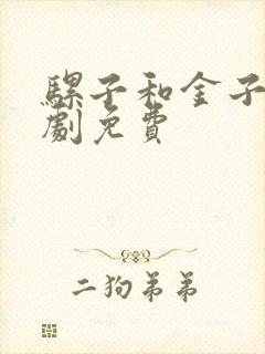 骡子和金子电视剧免费