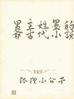 男主姓墨的是王爷古代小说