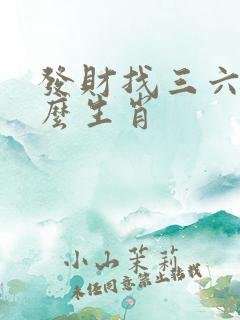 发财找三六是什么生肖