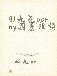 91九色porny国产视频蝌蚪
