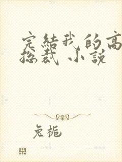 完结我的高冷女总裁 小说