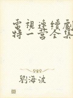 电视连续剧我的特一营全集完整版