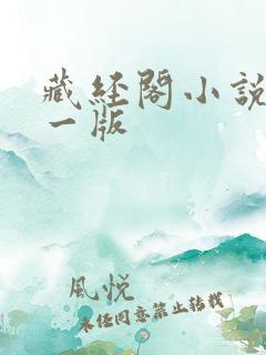 藏经阁小说网第一版 藏经阁小说网第一版