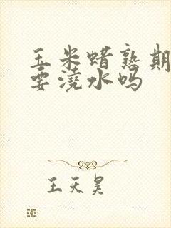 玉米蜡熟期还需要浇水吗