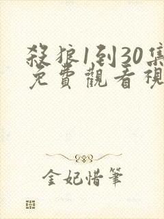 杀狼1到30集免费观看视频