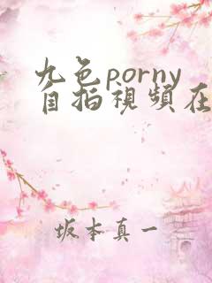 九色porny自拍视频在线播放