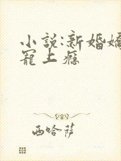 小说:新婚娇妻宠上瘾