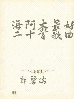 海阿木最好听的二十首歌曲 海阿木最好听的二十首歌曲