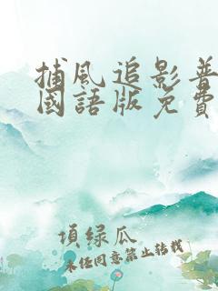 捕风追影普通话国语版免费 捕风追影普通话国语版免费