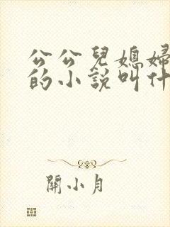 公公儿媳妇扒灰的小说叫什么名字